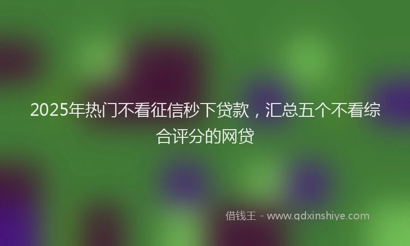 2025年热门不看征信秒下贷款，汇总五个不看综合评分的网贷