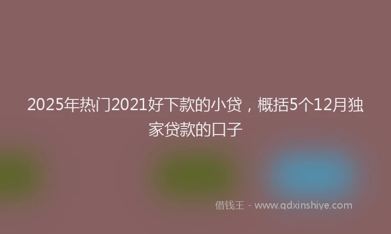 2025年热门2021好下款的小贷，概括5个12月独家贷款的口子