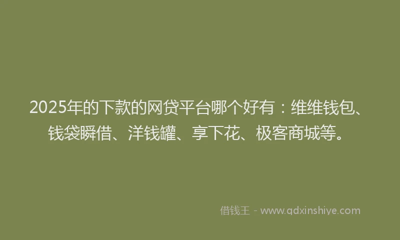 2025年的下款的网贷平台哪个好有：维维钱包、钱袋瞬借、洋钱罐、享下花、极客商城等。