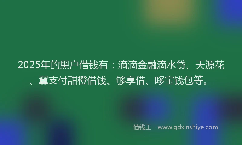 2025年的黑户借钱有：滴滴金融滴水贷、天源花、翼支付甜橙借钱、够享借、哆宝钱包等。