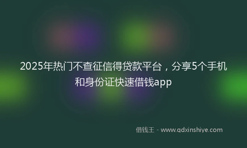 2025年热门不查征信得贷款平台，分享5个手机和身份证快速借钱app
