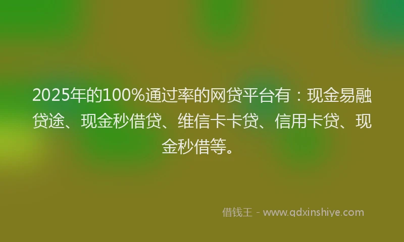2025年的100%通过率的网贷平台有：现金易融贷途、现金秒借贷、维信卡卡贷、信用卡贷、现金秒借等。