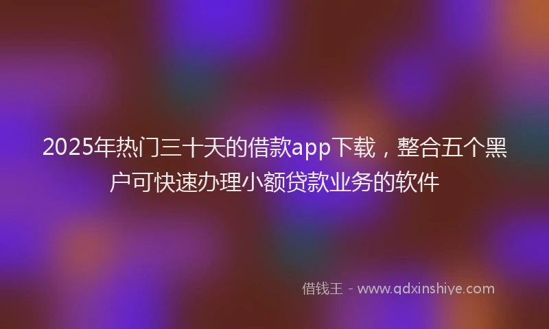 2025年热门三十天的借款app下载，整合五个黑户可快速办理小额贷款业务的软件