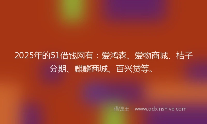 2025年的51借钱网有：爱鸿森、爱物商城、桔子分期、麒麟商城、百兴贷等。