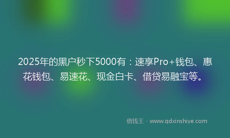 2025年的黑户秒下5000有：速享Pro+钱包、惠花钱包、易速花、现金白卡、借贷易融宝等。