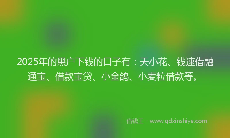 2025年的黑户下钱的口子有：天小花、钱速借融通宝、借款宝贷、小金鸽、小麦粒借款等。