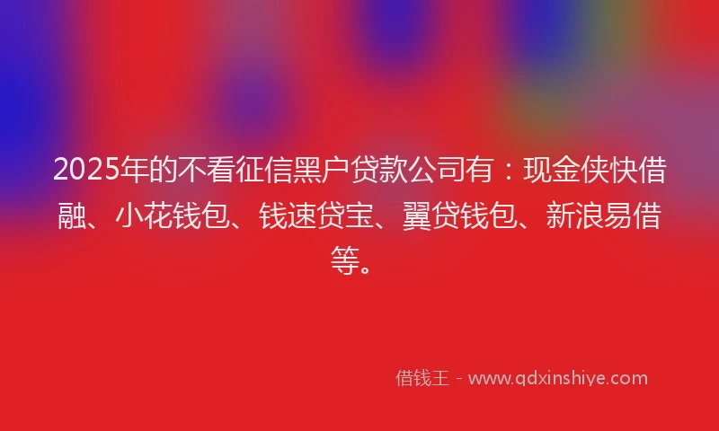 2025年的不看征信黑户贷款公司有：现金侠快借融、小花钱包、钱速贷宝、翼贷钱包、新浪易借等。
