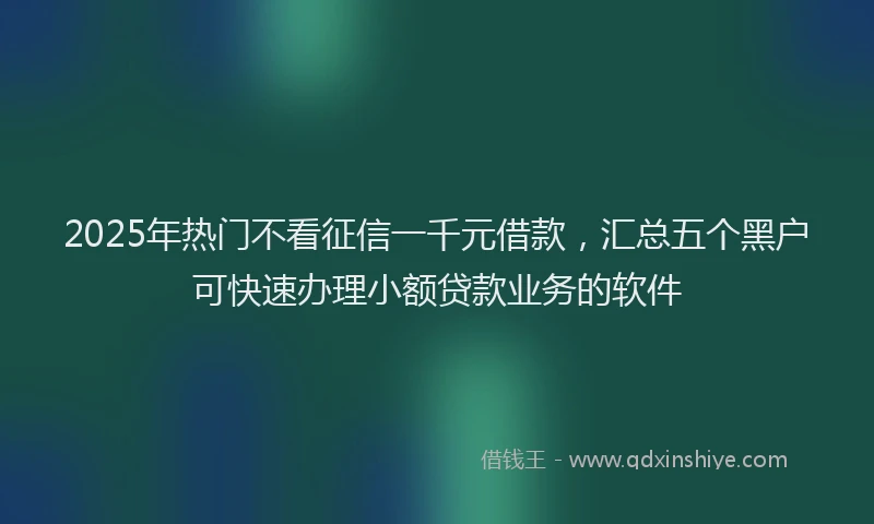 2025年热门不看征信一千元借款，汇总五个黑户可快速办理小额贷款业务的软件