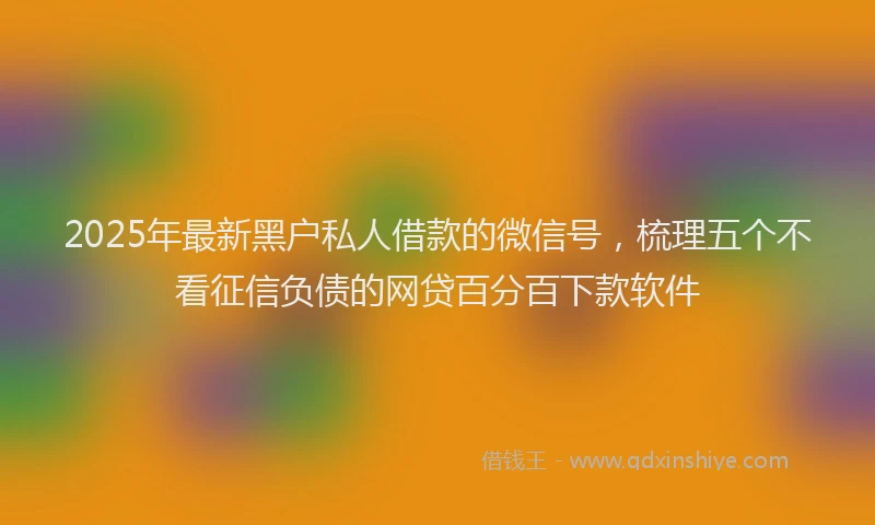 2025年最新黑户私人借款的微信号，梳理五个不看征信负债的网贷百分百下款软件