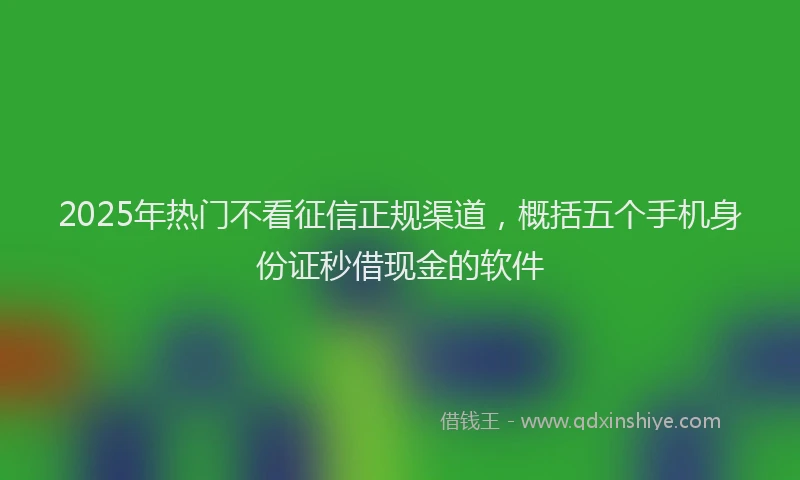 2025年热门不看征信正规渠道，概括五个手机身份证秒借现金的软件