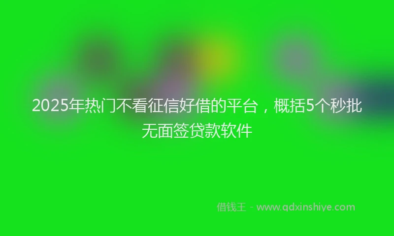 2025年热门不看征信好借的平台，概括5个秒批无面签贷款软件