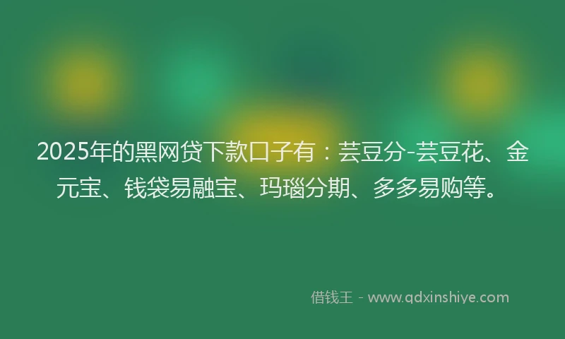 2025年的黑网贷下款口子有：芸豆分-芸豆花、金元宝、钱袋易融宝、玛瑙分期、多多易购等。