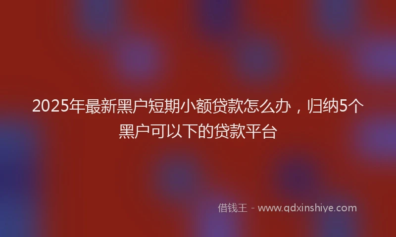 2025年最新黑户短期小额贷款怎么办，归纳5个黑户可以下的贷款平台