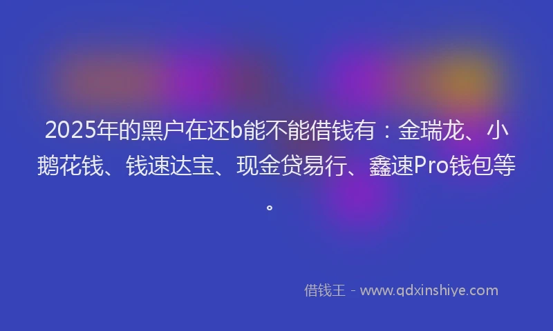 2025年的黑户在还b能不能借钱有：金瑞龙、小鹅花钱、钱速达宝、现金贷易行、鑫速Pro钱包等。