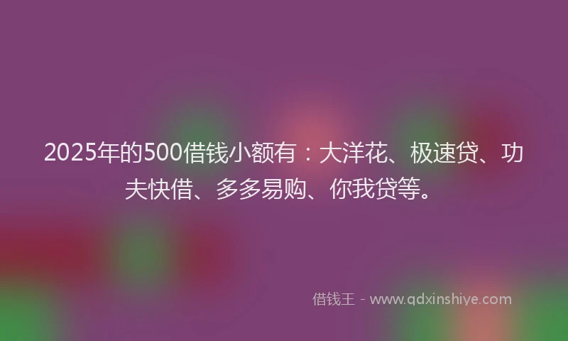 2025年的500借钱小额有：大洋花、极速贷、功夫快借、多多易购、你我贷等。
