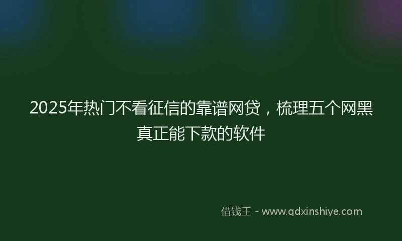 2025年热门不看征信的靠谱网贷，梳理五个网黑真正能下款的软件