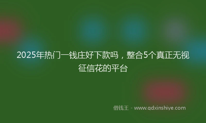 2025年热门一钱庄好下款吗,整合5个真正无视征信花的平台