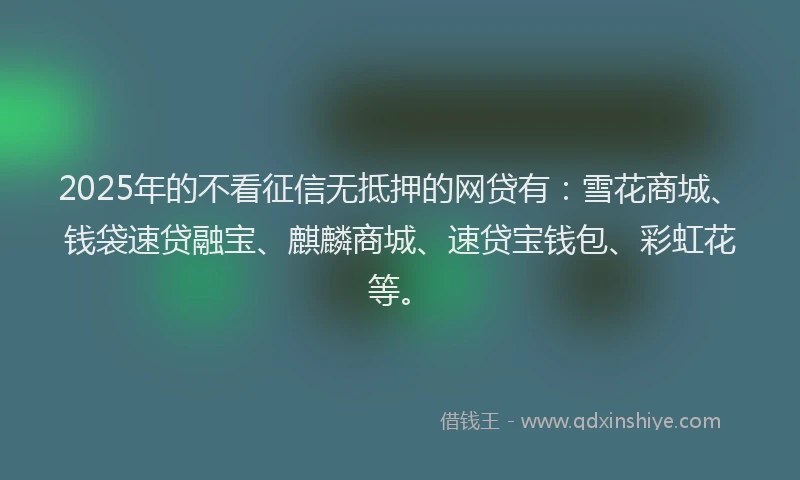 2025年的不看征信无抵押的网贷有：雪花商城、钱袋速贷融宝、麒麟商城、速贷宝钱包、彩虹花等。
