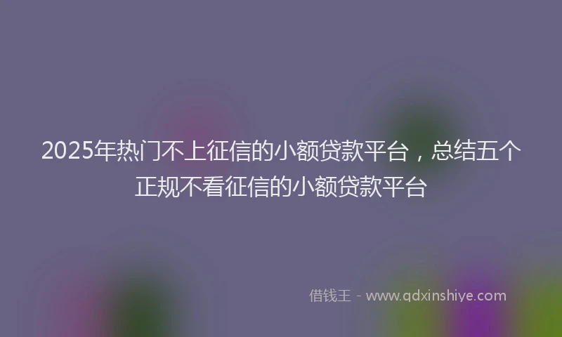 2025年热门不上征信的小额贷款平台，总结五个正规不看征信的小额贷款平台