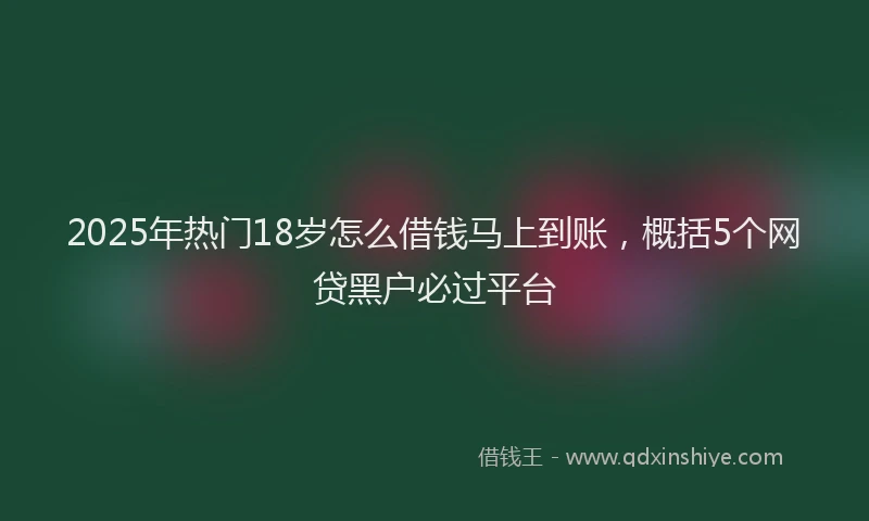 2025年热门18岁怎么借钱马上到账，概括5个网贷黑户必过平台