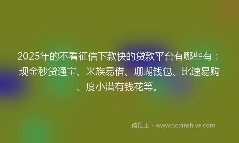 2025年的不看征信下款快的贷款平台有哪些有：现金秒贷通宝、米族易借、珊瑚钱包、比速易购、度小满有钱花等。