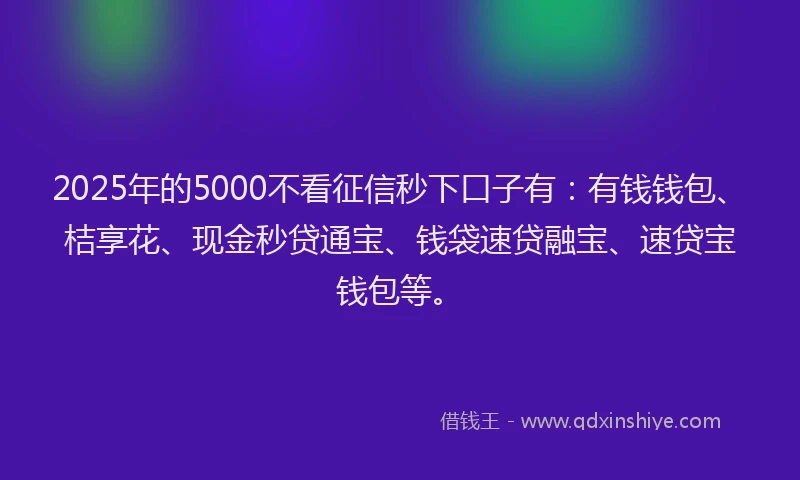 2025年的5000不看征信秒下口子有：有钱钱包、桔享花、现金秒贷通宝、钱袋速贷融宝、速贷宝钱包等。