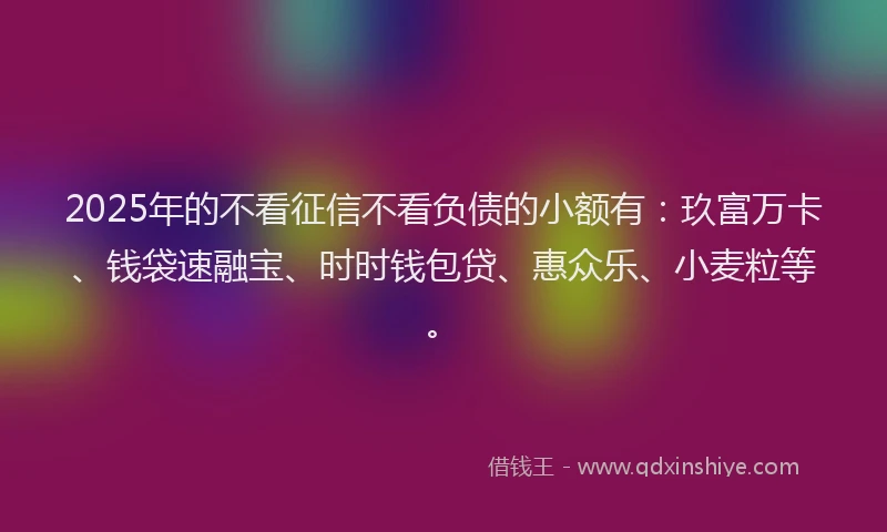 2025年的不看征信不看负债的小额有：玖富万卡、钱袋速融宝、时时钱包贷、惠众乐、小麦粒等。