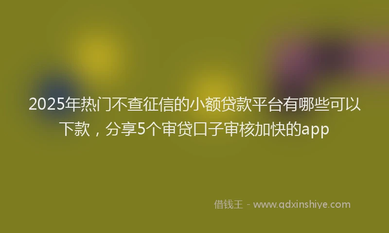 2025年热门不查征信的小额贷款平台有哪些可以下款,分享5个审贷口子审核加快的app
