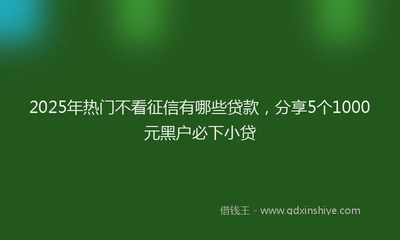 2025年热门不看征信有哪些贷款，分享5个1000元黑户必下小贷