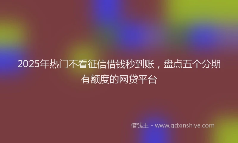 2025年热门不看征信借钱秒到账，盘点五个分期有额度的网贷平台