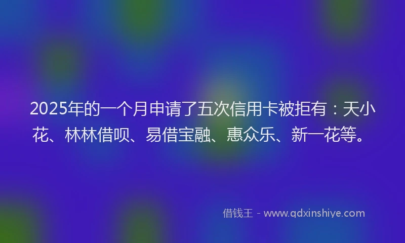 2025年的一个月申请了五次信用卡被拒有：天小花、林林借呗、易借宝融、惠众乐、新一花等。