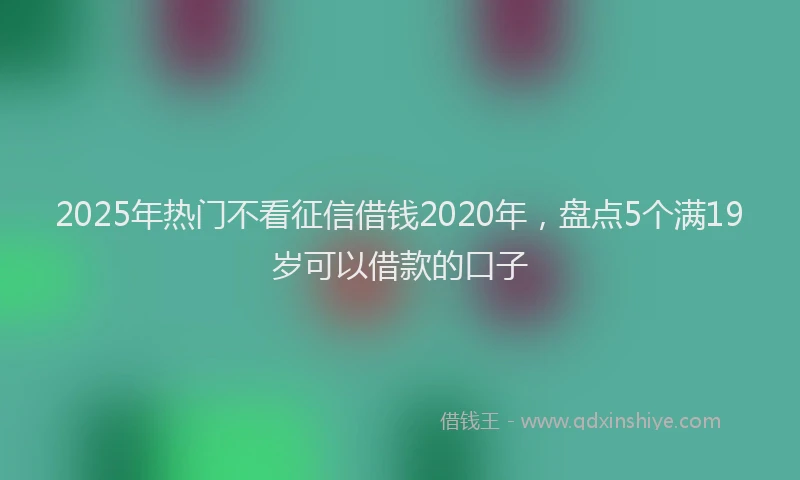 2025年热门不看征信借钱2020年，盘点5个满19岁可以借款的口子