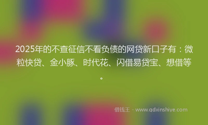 2025年的不查征信不看负债的网贷新口子有：微粒快贷、金小豚、时代花、闪借易贷宝、想借等。