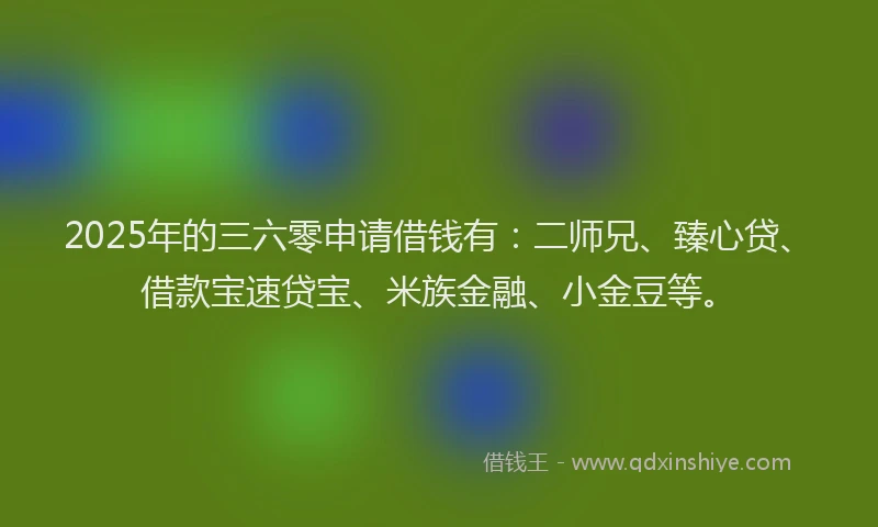 2025年的三六零申请借钱有：二师兄、臻心贷、借款宝速贷宝、米族金融、小金豆等。