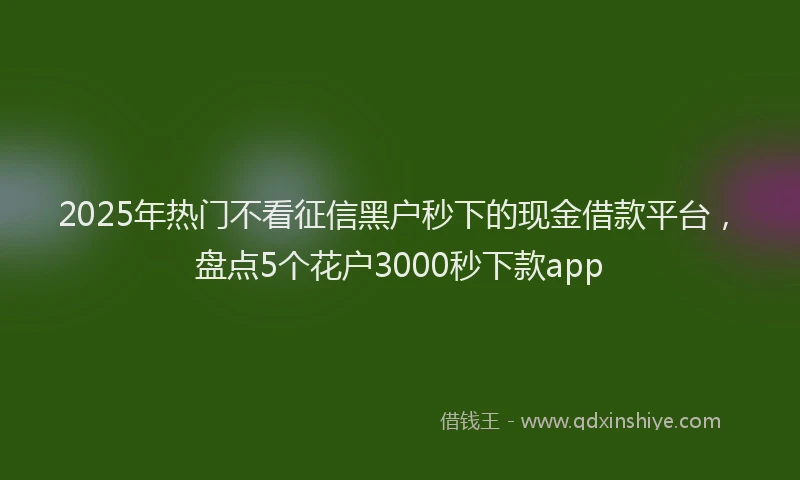 2025年热门不看征信黑户秒下的现金借款平台，盘点5个花户3000秒下款app