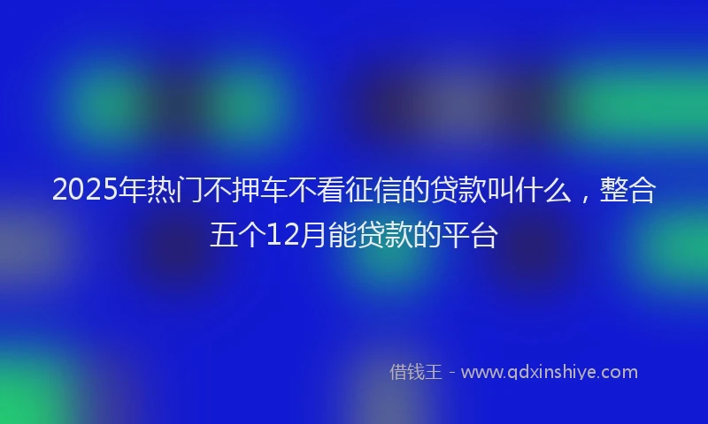 2025年热门不押车不看征信的贷款叫什么，整合五个12月能贷款的平台