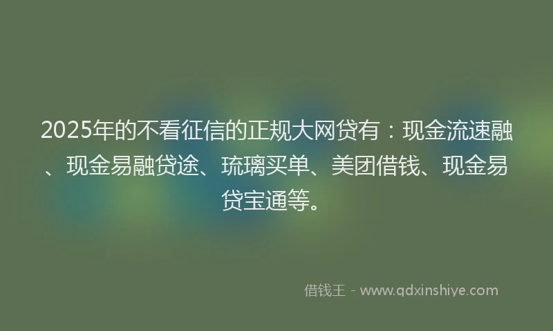 2025年的不看征信的正规大网贷有：现金流速融、现金易融贷途、琉璃买单、美团借钱、现金易贷宝通等。