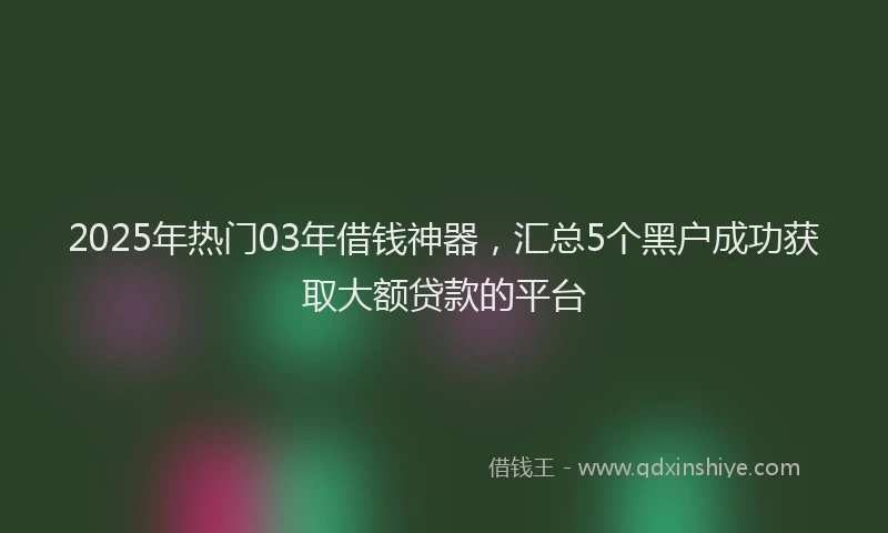 2025年热门03年借钱神器，汇总5个黑户成功获取大额贷款的平台