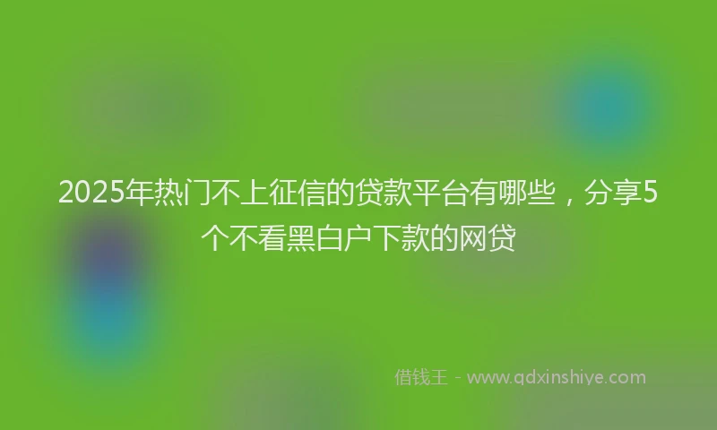 2025年热门不上征信的贷款平台有哪些，分享5个不看黑白户下款的网贷