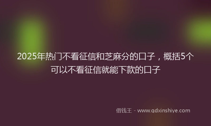 2025年热门不看征信和芝麻分的口子，概括5个可以不看征信就能下款的口子