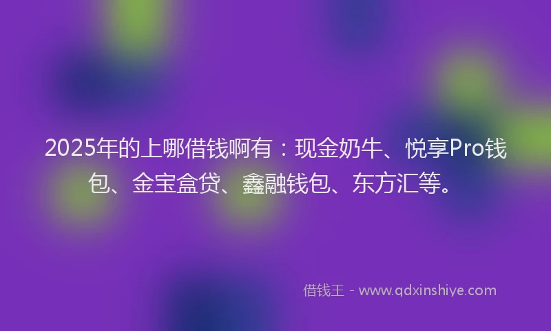 2025年的上哪借钱啊有：现金奶牛、悦享Pro钱包、金宝盒贷、鑫融钱包、东方汇等。