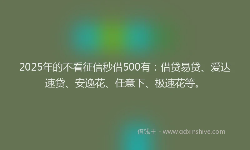 2025年的不看征信秒借500有：借贷易贷、爱达速贷、安逸花、任意下、极速花等。