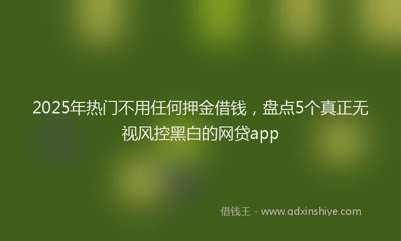 2025年热门不用任何押金借钱,盘点5个真正无视风控黑白的网贷app