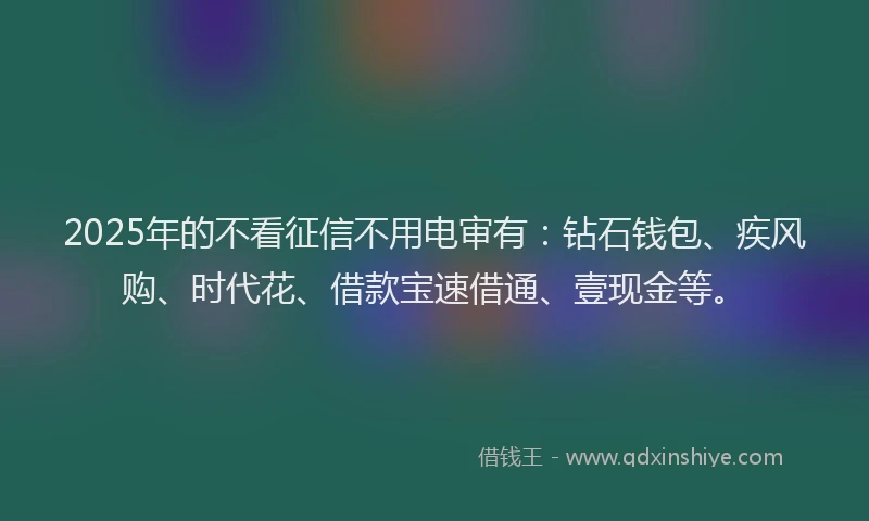 2025年的不看征信不用电审有：钻石钱包、疾风购、时代花、借款宝速借通、壹现金等。