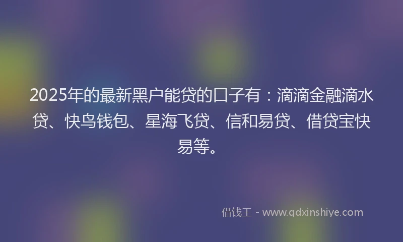2025年的最新黑户能贷的口子有：滴滴金融滴水贷、快鸟钱包、星海飞贷、信和易贷、借贷宝快易等。