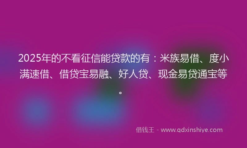 2025年的不看征信能贷款的有:米族易借、度小满速借、借贷宝易融、好人贷、现金易贷通宝等。