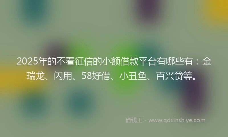 2025年的不看征信的小额借款平台有哪些有：金瑞龙、闪用、58好借、小丑鱼、百兴贷等。