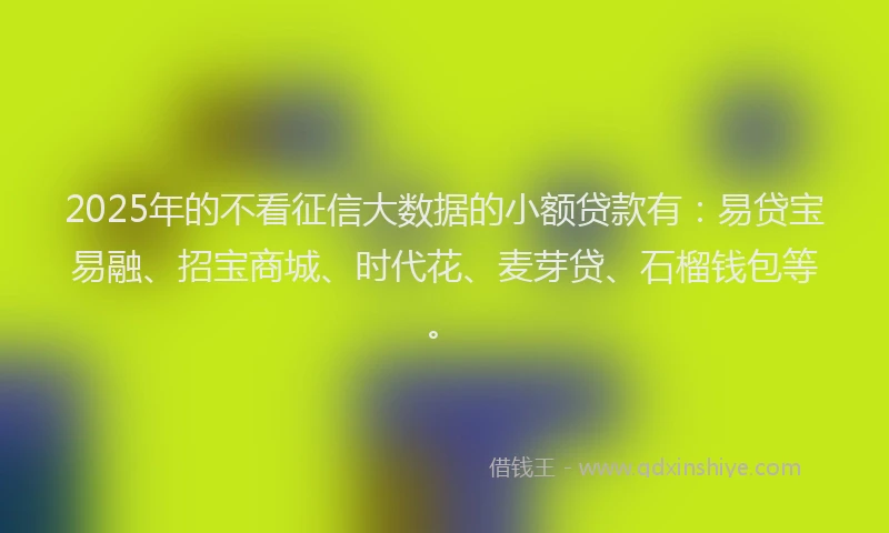 2025年的不看征信大数据的小额贷款有：易贷宝易融、招宝商城、时代花、麦芽贷、石榴钱包等。