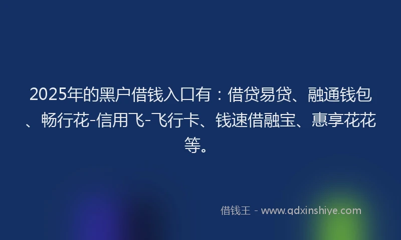 2025年的黑户借钱入口有：借贷易贷、融通钱包、畅行花-信用飞-飞行卡、钱速借融宝、惠享花花等。