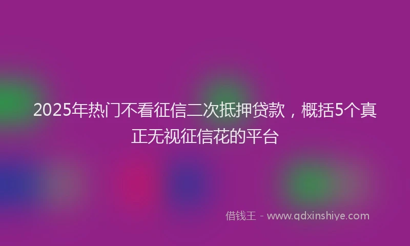 2025年热门不看征信二次抵押贷款,概括5个真正无视征信花的平台